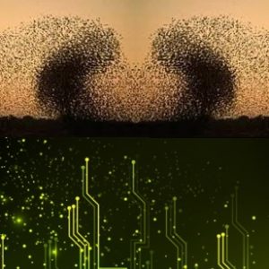 swarm technology